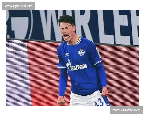 沙尔克官宣签下 22 岁德国中场法齐，合同至 2029 年